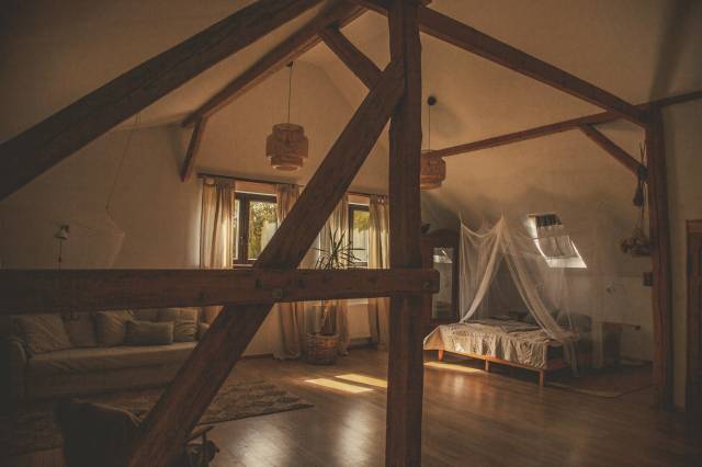 Jelonki 2 - Kameralnie w dzikich chaszczach