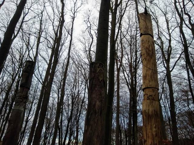 Grodzisko Chojna i pomniki słowiańskich bogów