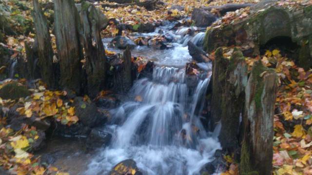 Szwedzki Młyn (Młyn Prochowy)