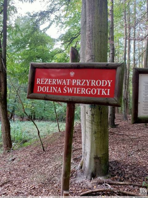 Rezerwat przyrody Dolina Świergotki
