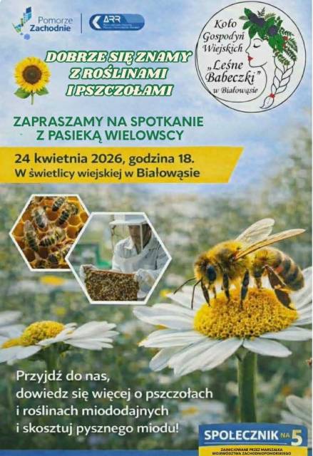 WIR KENNEN UNS GUT MIT PFLANZEN UND BIENEN AUS