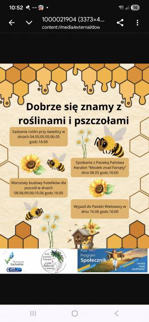 Wir kennen uns gut mit Pflanzen und Bienen aus 