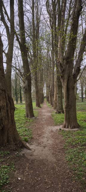 Park przy ul. Dąbrówki