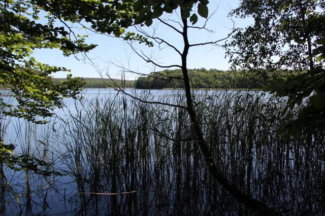 Jezioro Żółwińskie