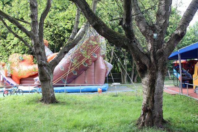 Wiśnie ptasie Rybitwy