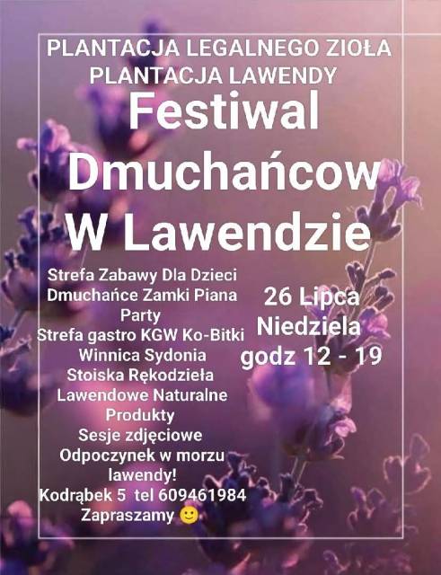 Festiwal Dmuchańcow W Lawendzie 