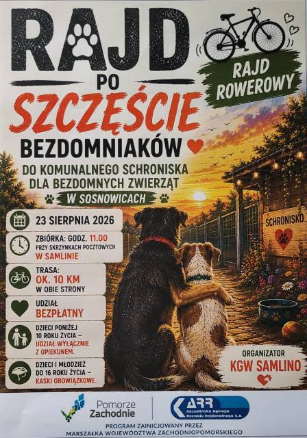 Похід за щастям бездомних