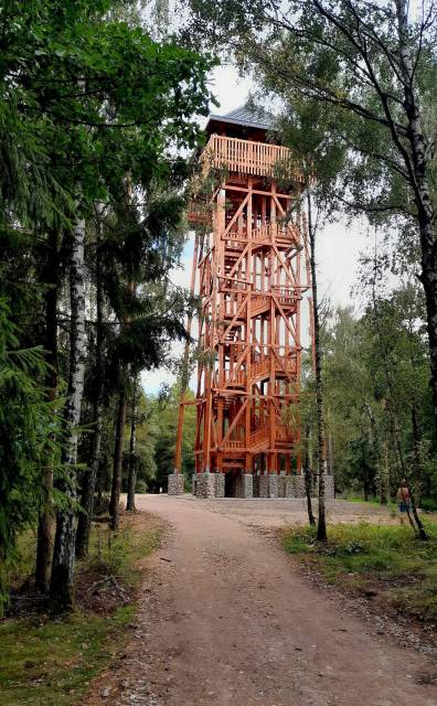 Aussichtsturm auf dem Dąbrowa-Berg