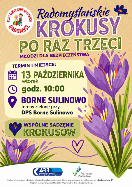Krokusse aus Radomyśl – zum dritten Mal: Pflanzungen in Borne Sulinowo