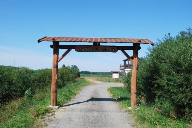 Die Feuchtgebiete Pyszka