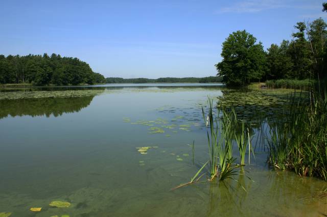 Obszar Chronionego Krajobrazu "B" Myślibórz