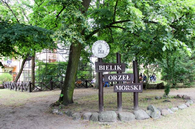 Ekspozycja stała bielików