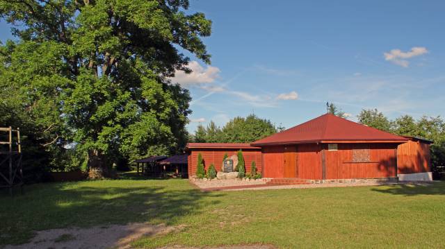 JAN jesion wyniosły