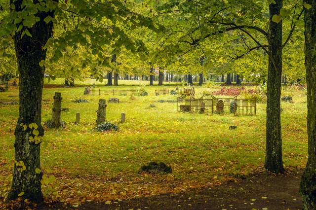 Cmentarz ewangelicki