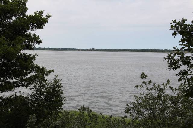 Wyspa Chrząszczewska