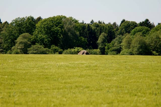 Głaz narzutowy Flemingów