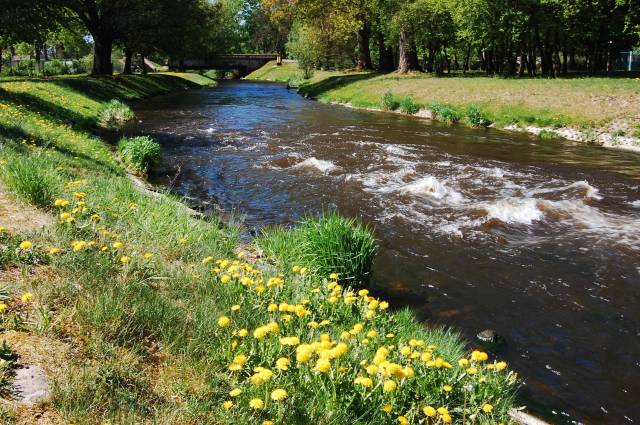 Rzeka Reska Węgorza