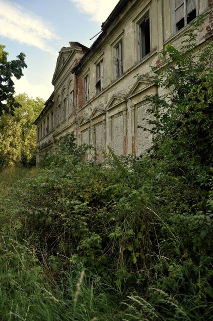 Ruiny pałacu w Rościnie