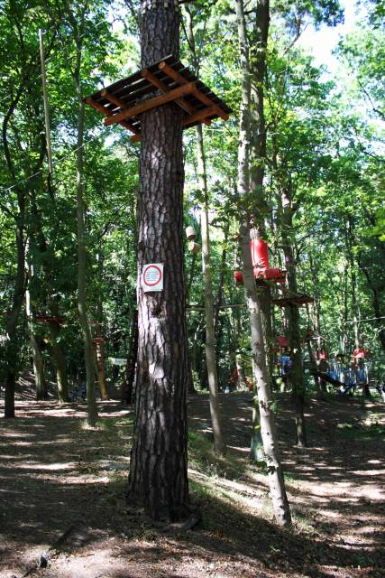 Seilgarten „Bluszcz”