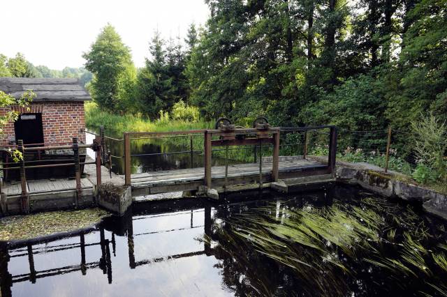 Młyn wodny w Golcach