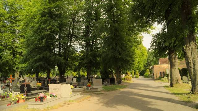 Cmentarz komunalny