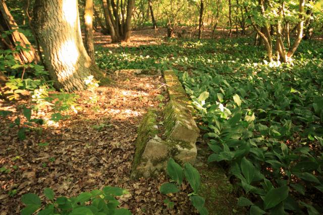 Cmentarz poewangelicki