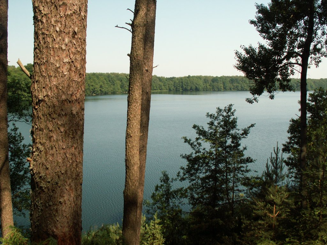 Jezioro Krzywe Dębsko w gminie Kalisz Pomorski
