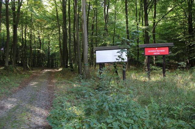 Rezerwat przyrody Osetno