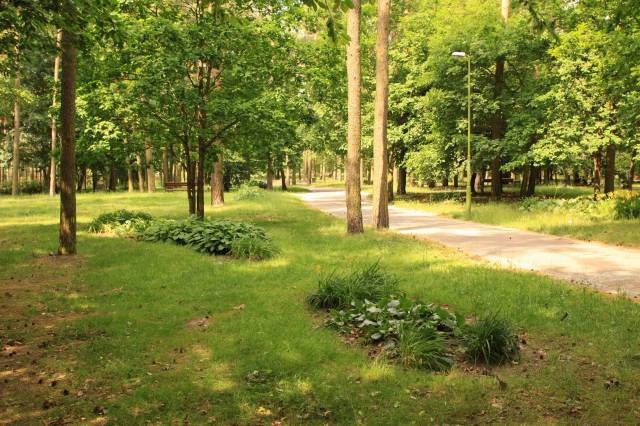 Park Solidarności w Policach