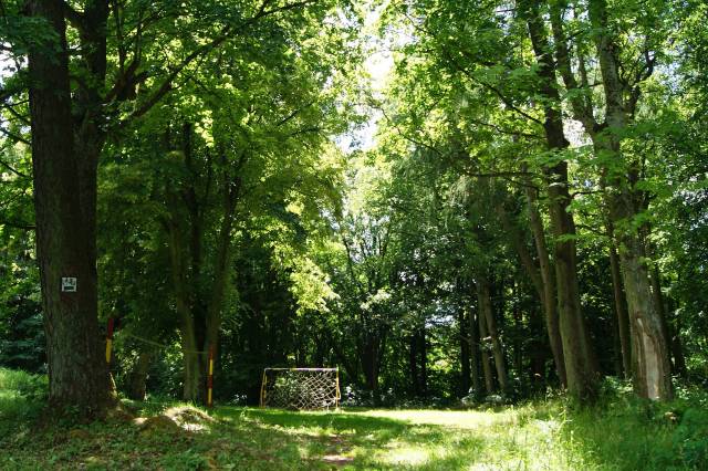 Park dworski w Zachełmiu