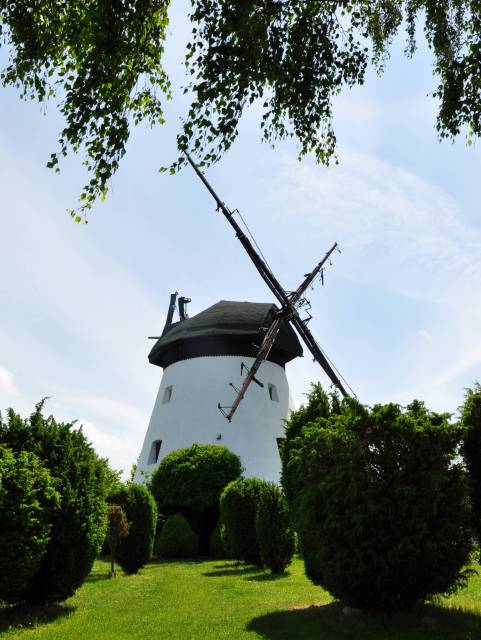 Wiatrak holenderski
