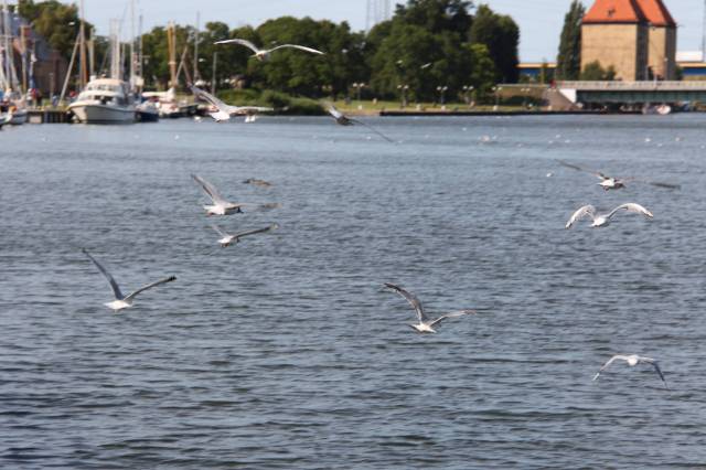Zalew Kamieński i Dziwna