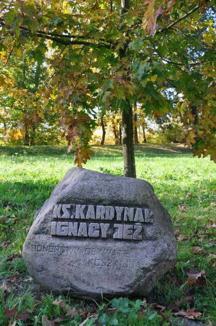 Boulder zum Gedenken an Kardinal Ignacy Jeż