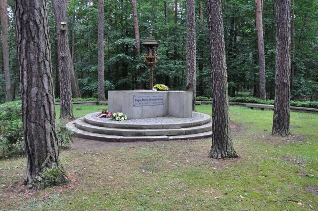 Denkmal der litauischen Flieger 