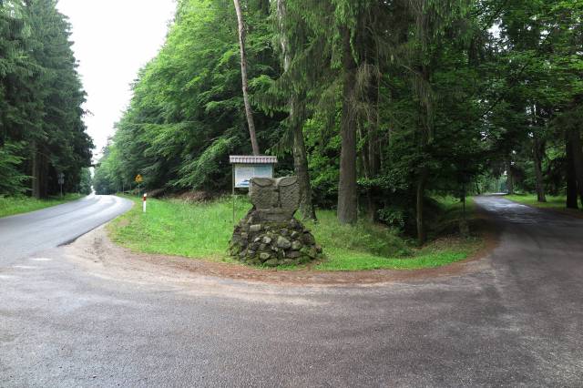 Zając Złocieniaszek