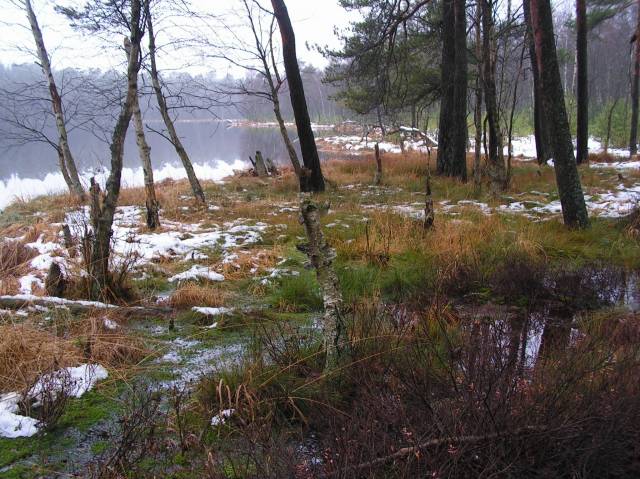 Zespół przyrodniczo-krajobrazowy „Karsibór”