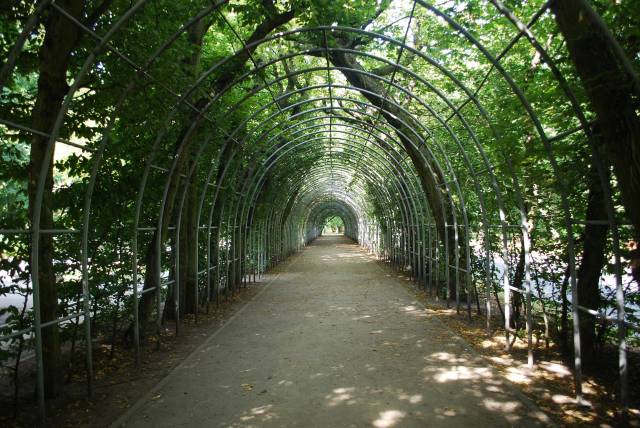 Bindaż Grabowy im. Profesora Ryszarda Siweckiego