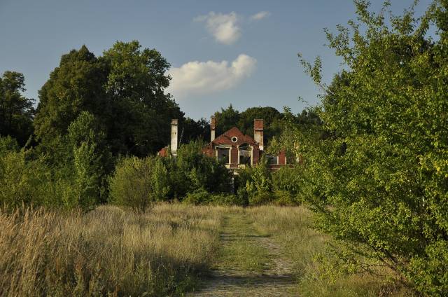 Ruiny dworu i park