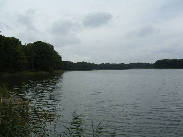 Jezioro Starzyc (Chociwel, Starzyca) gm. Chociwel