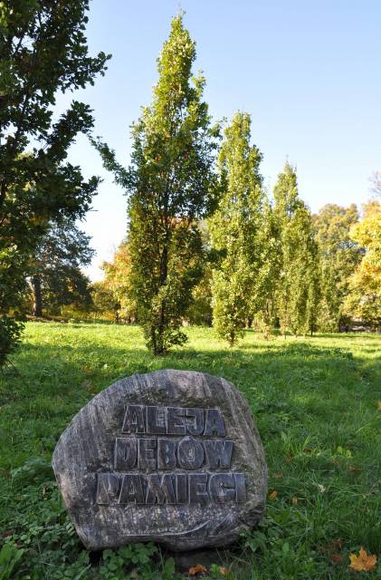 Głaz "Aleja Dębów Pamięci"