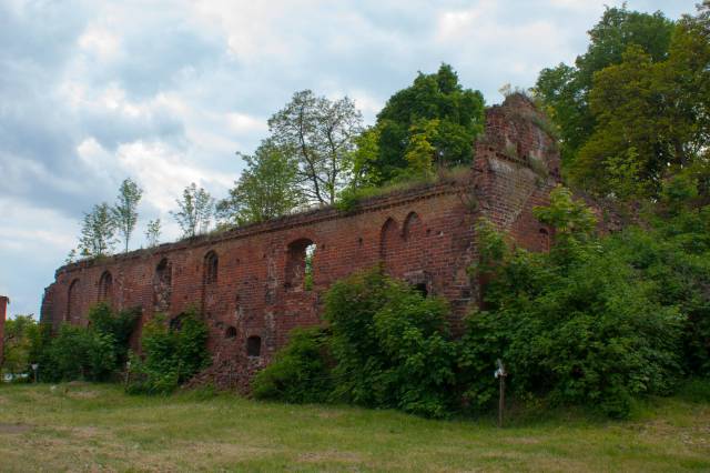 Ruiny gotyckiego browaru