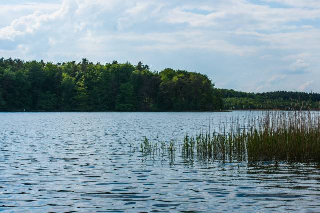 Obszar Chronionego Krajobrazu "Bierzwnik"