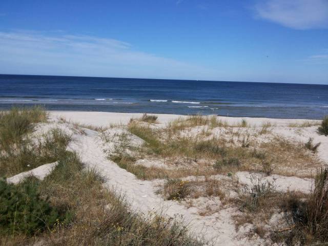 Wydmy między Dźwirzynem a Grzybowem