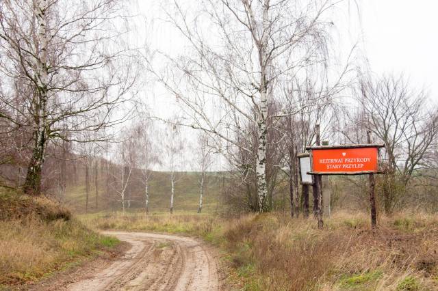 Rezerwat przyrody Stary Przylep