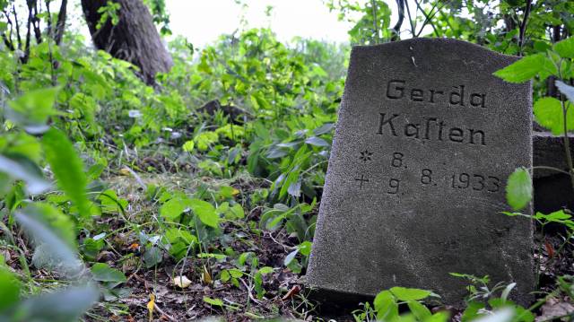 Cmentarz przykościelny