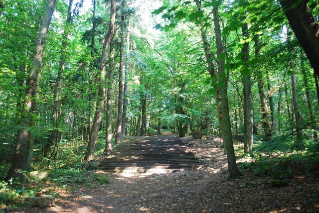 Arkony-Hügel – Arkoński-Waldpark in Stettin