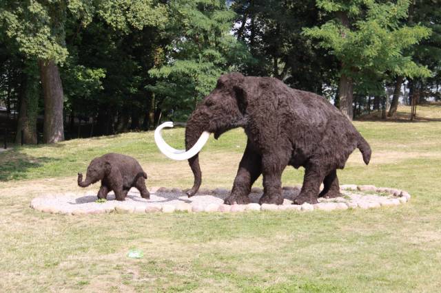Geopark “Kraina Lodowca nad Odrą”