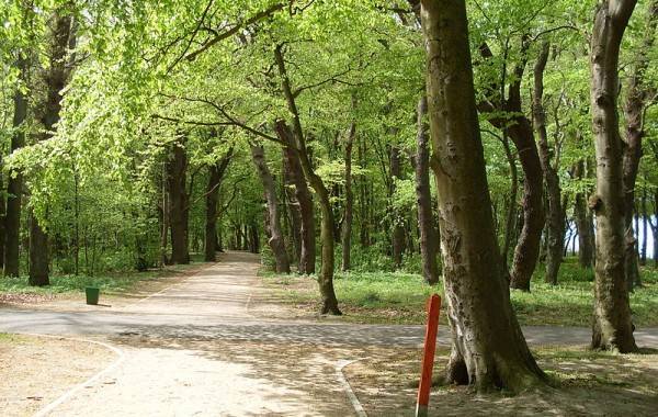 Park im. Stefana Żeromskiego w Kołobrzegu
