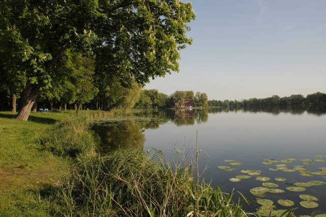 Stadtssee