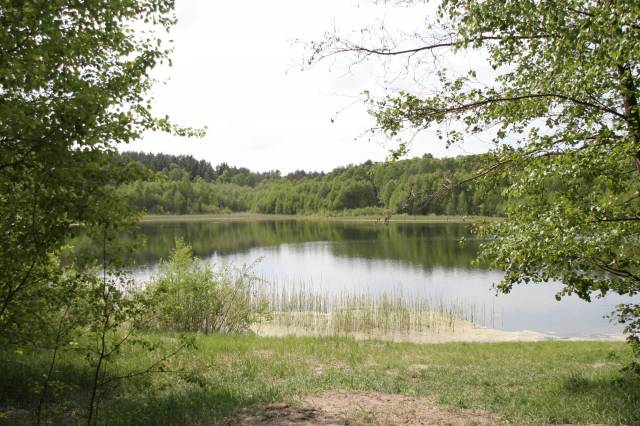 Rezerwat przyrody Jeziora Siegniewskie